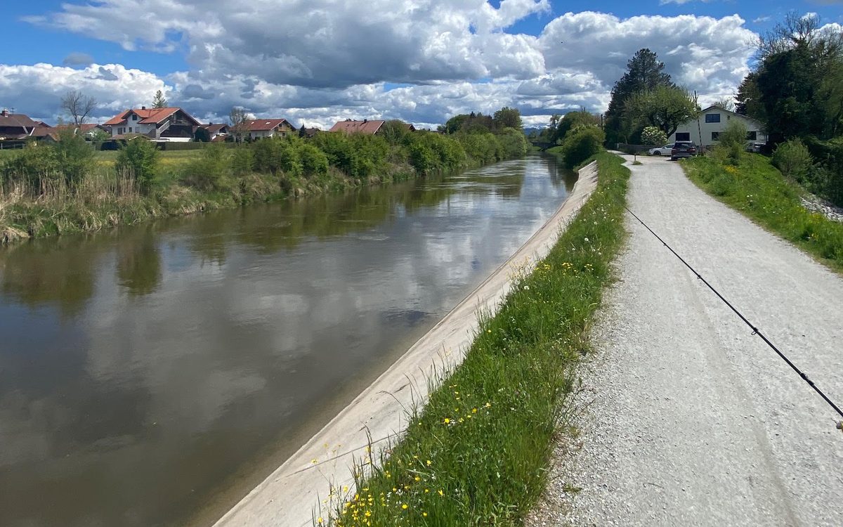 Loisach-Isar-Kanal bei Wolfratshausen – Fischwasser des Anglerbund Bavaria e.V.